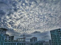 -佰园全日西餐厅-厦门佰翔软件园酒店