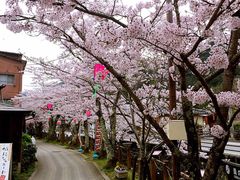 -城崎温泉 外七汤