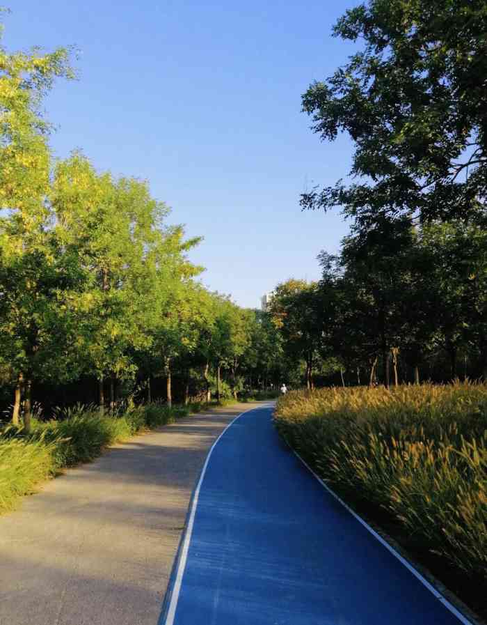 中关村森林公园-"去中关村公园可乘坐地铁到西北旺,公交到后.