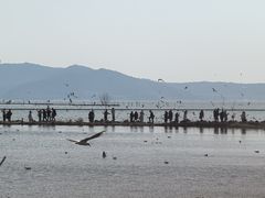 -太湖面馆十八浇(渔港路店)