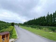 -上海长兴岛郊野公园