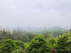 -潜山国家森林公园