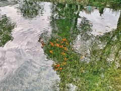 -西北湖绿化广场