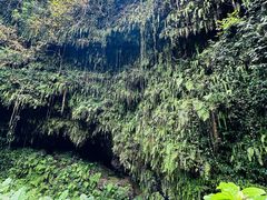 -海口火山口国家地质公园