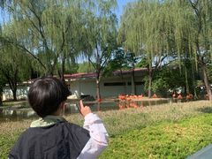 -石家庄市动物园