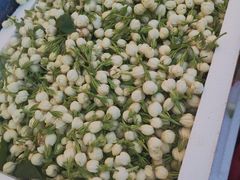 -岳各庄批发市场(西四环中路店)