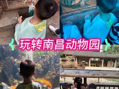 -南昌动物园