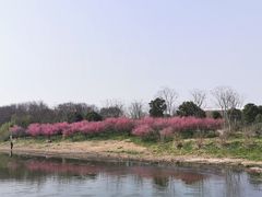 -同里国家湿地公园