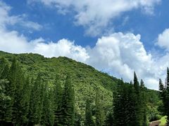 -深圳仙湖植物园