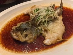 -曲园酒楼(老江东店)