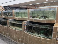 水产区-果蔬好(江南赋店)
