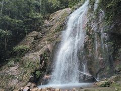 -江西阳明山国家森林公园