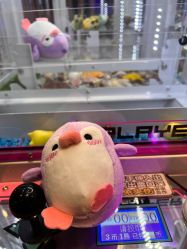 -Mollyfantasy莫莉幻想(重庆袁家岗喜盈门范城店)