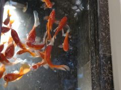 -苏浙汇(朝外店)