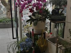 -FEI FEI FLOWER鲜花店·气球派对·宝宝宴布置(虹口德必运动Loft店)