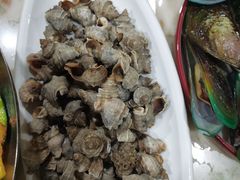 -OLD TREE老树咖啡·西餐厅(台山人工湖店)