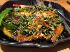 -云海肴云南菜·蒸汽石锅鱼(北京良乡华冠店)