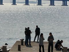 -宝安西湾红树林湿地公园