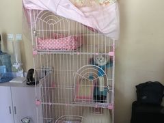 -青春加萌照相馆