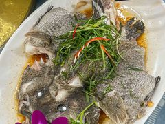 -明记海鲜大排档(巽寮湾店)
