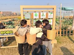 -何永光123鲜牛肉馆(江北万达1号店)