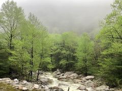 -青峰峡国家森林公园