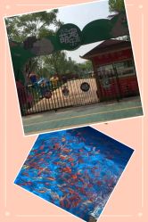 -萌宠亲子动物乐园(槐房万达店)