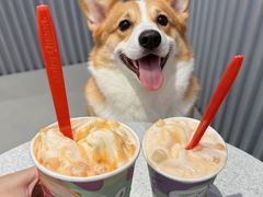 -DQ·蛋糕·冰淇淋(五角场万达店)