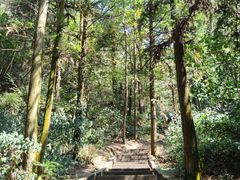 -崀山风景名胜区