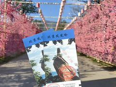 -北京凤凰岭