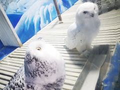 -成都浩海立方海洋公园