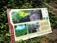 -海口火山口国家地质公园