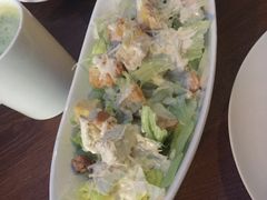 -百好乐宠物友好餐厅(朝外大街店)