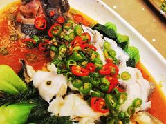 淮阳玉液东星斑-金翠皇宫粤菜·点心·海鲜(科技园店)