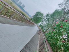 -洋湖国家湿地公园