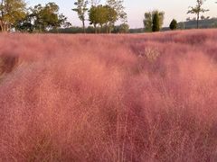 -汉长安城未央宫国家考古遗址公园