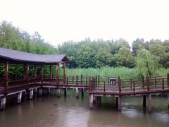 溱湖国家湿地公园-溱湖国家湿地公园