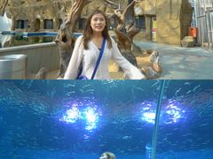 -前王院•巧克力海鲜市集餐厅(万平口店)