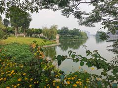 -眉山湿地公园(东坡区)
