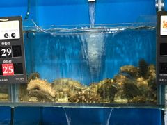 -苏大嘴海鲜牧场(奥林匹克店)