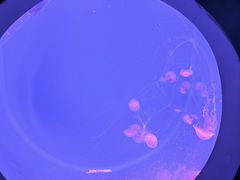 -沈阳海洋探索中心