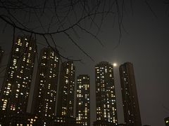 -成都市活水公园