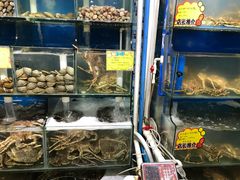 水产区-蚝专家(北滘店)