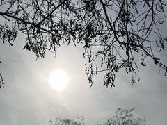 -秦始皇帝陵博物院-丽山园