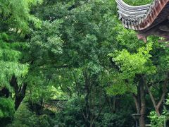 -长广溪湿地公园