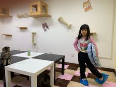 -三花喵·撸猫购宠·宠物生活馆(虹桥南丰城店)