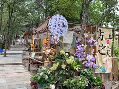 -沂蒙山旅游区云蒙景区(蒙山国家森林公园)