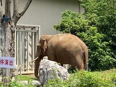 -宁波野生动物园