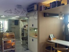 -喵园·猫主题咖啡厅·撸猫·猫咖(国贸店)