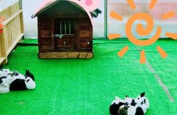 -萌宠亲子动物乐园(槐房万达店)